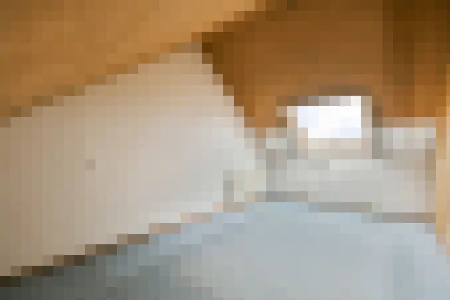 Sabine van Beierenlaan 13 Egmond aan den Hoef thumbnail 21