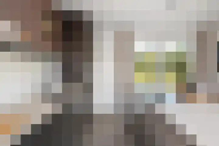 Sablikapad 6 Rotterdam thumbnail 10