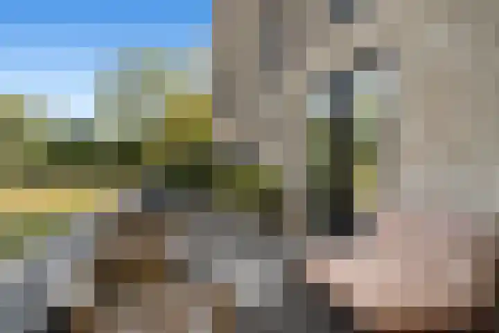 Sablikapad 6 Rotterdam thumbnail 11