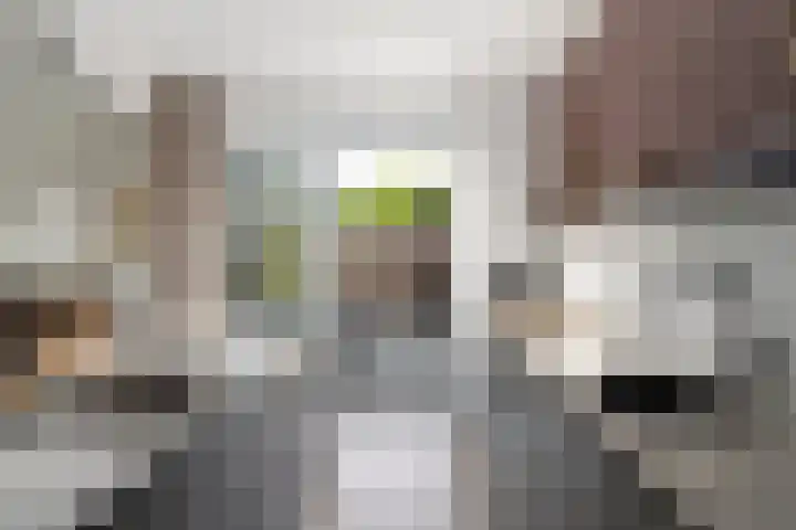 Sablikapad 6 Rotterdam thumbnail 12