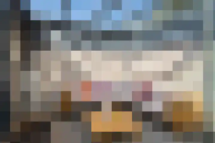 Sablikapad 6 Rotterdam thumbnail 14