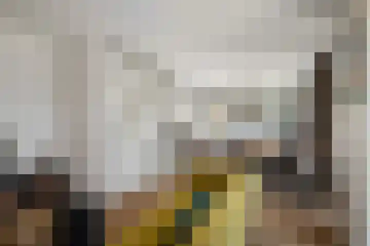 Sablikapad 6 Rotterdam thumbnail 19