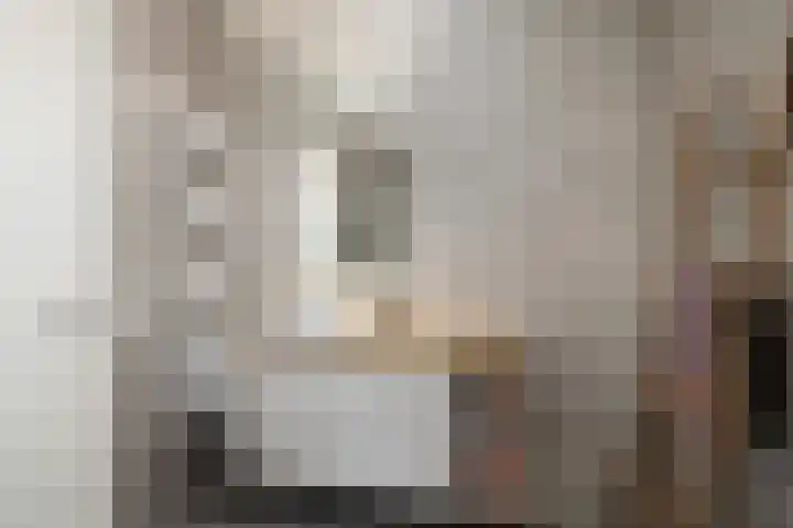 Sablikapad 6 Rotterdam thumbnail 23