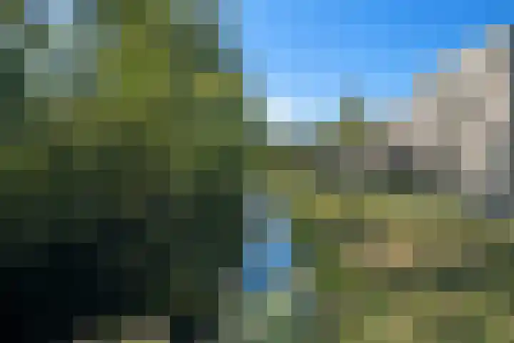 Sablikapad 6 Rotterdam thumbnail 31