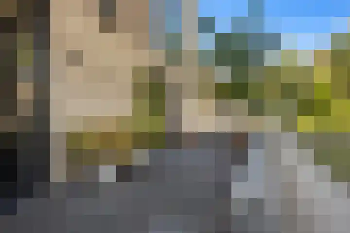 Sablikapad 6 Rotterdam thumbnail 5