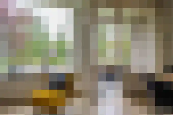 Sabotagelaan 120 Groningen thumbnail 18