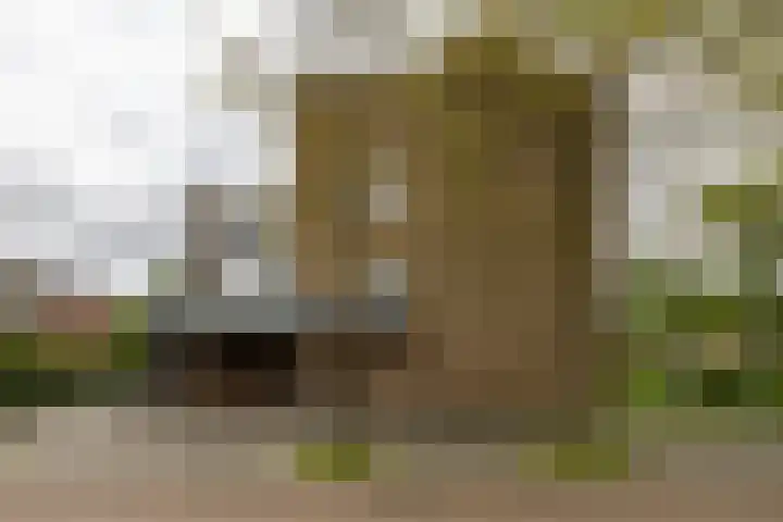 Sabotagelaan 120 Groningen thumbnail 32