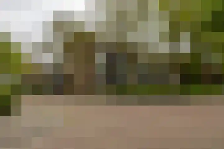 Sabotagelaan 120 Groningen thumbnail 33
