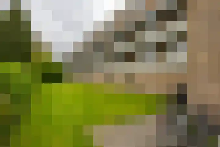 Sabotagelaan 120 Groningen thumbnail 34