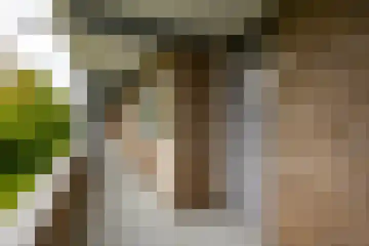 Sabotagelaan 120 Groningen thumbnail 6