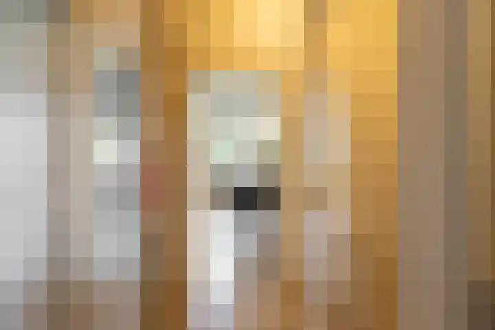 Sabotagelaan 120 Groningen thumbnail 8