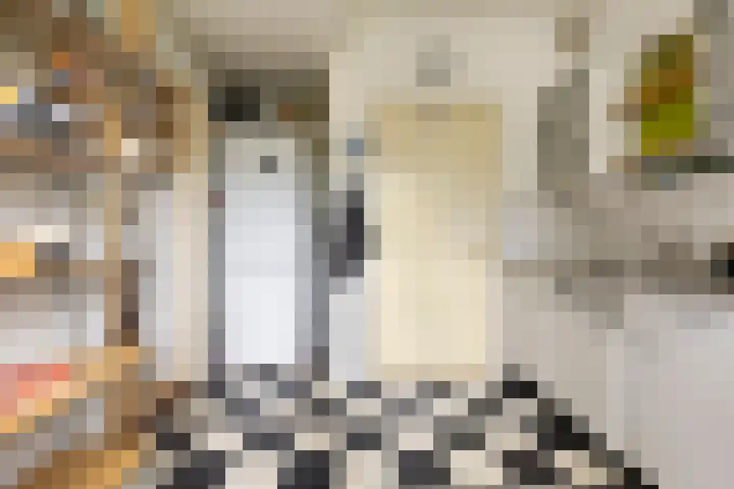 Sabotagelaan 134 Groningen thumbnail 24