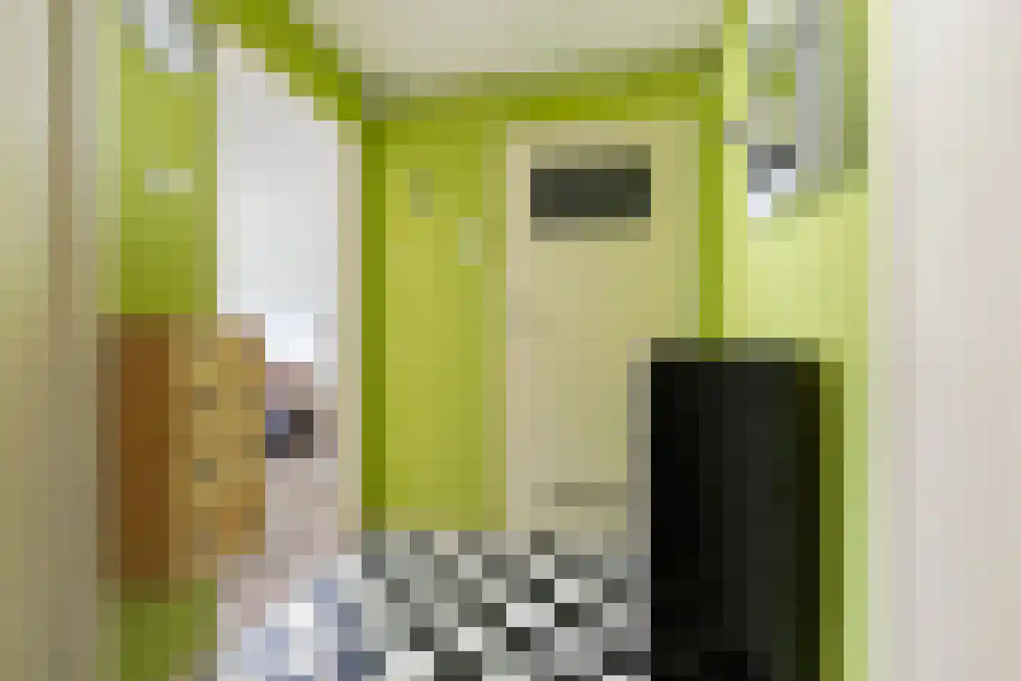 Sabotagelaan 134 Groningen thumbnail 27
