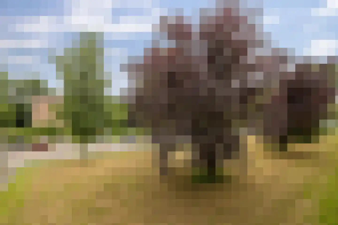 Sabotagelaan 134 Groningen thumbnail 33