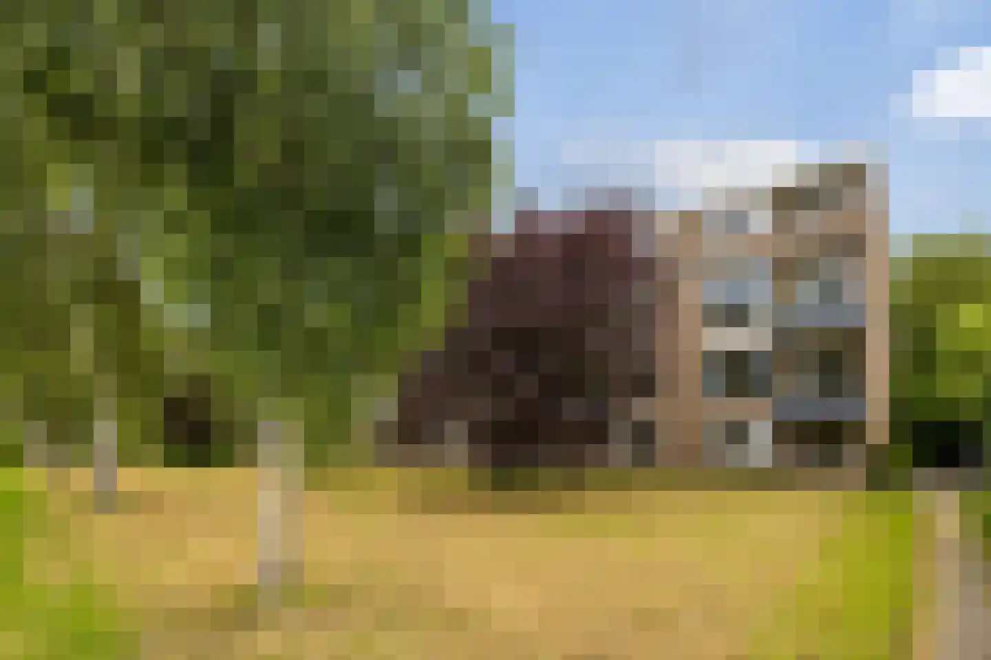 Sabotagelaan 134 Groningen thumbnail 34