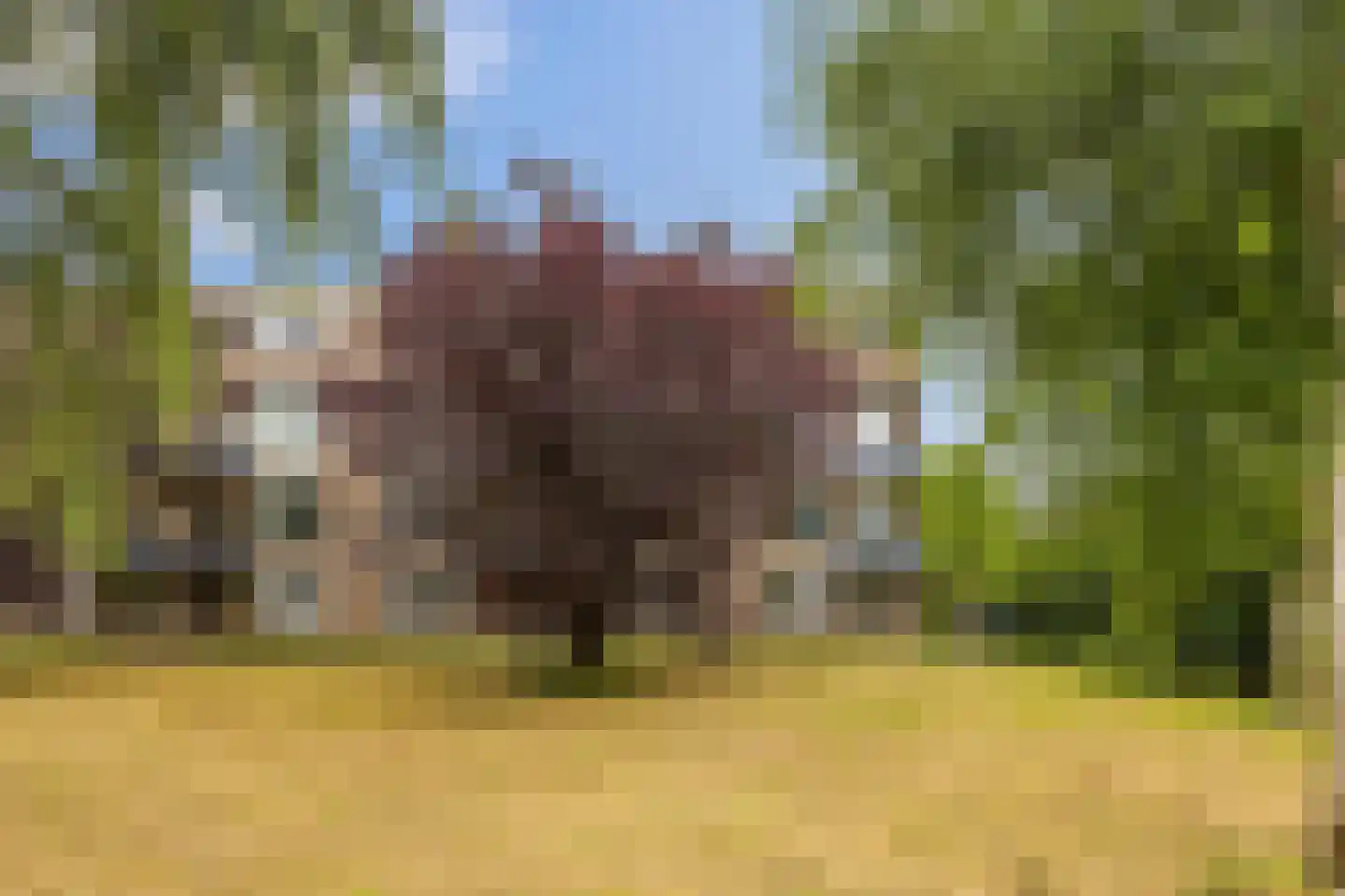 Sabotagelaan 134 Groningen thumbnail 36