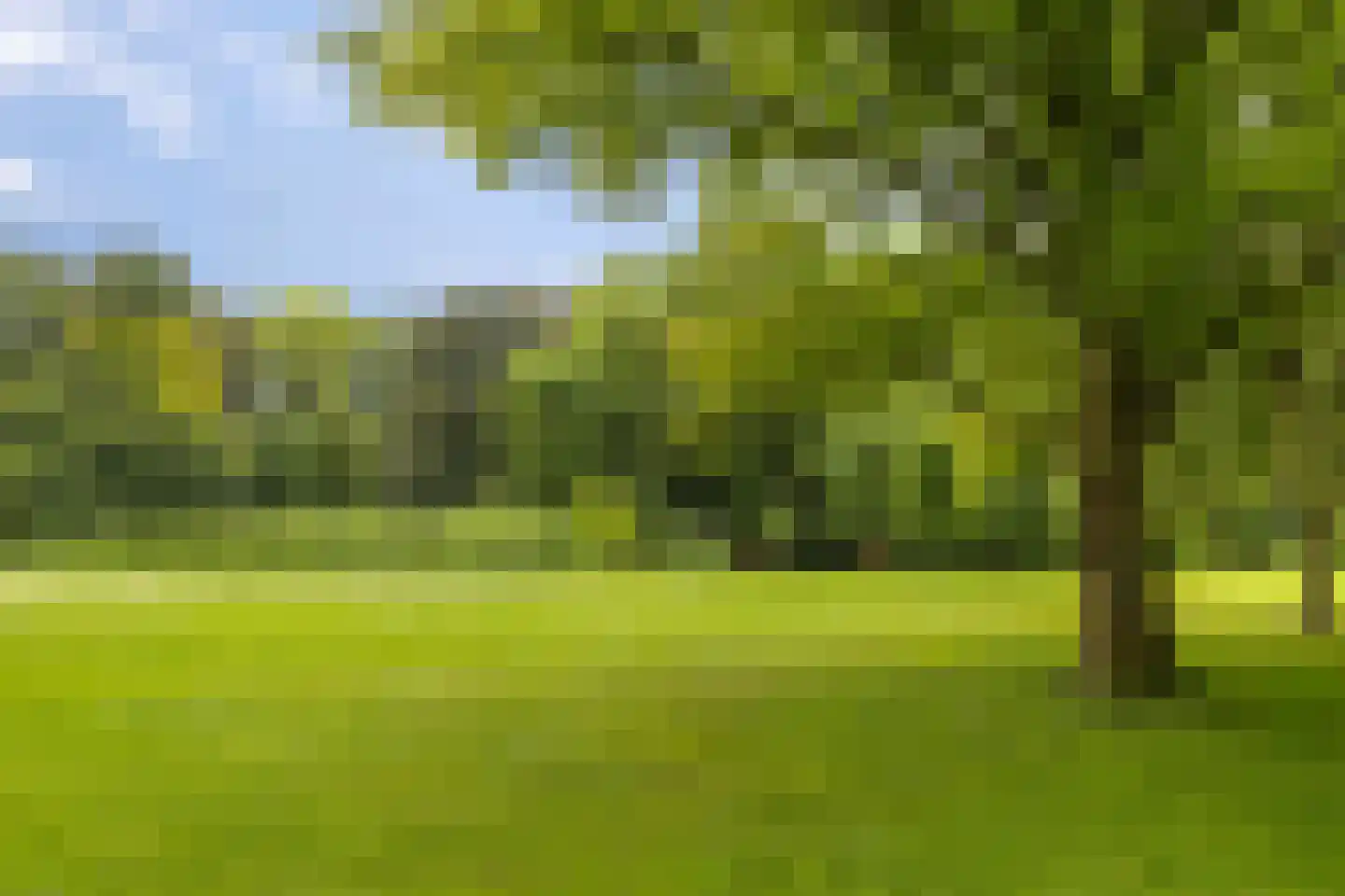 Sabotagelaan 134 Groningen thumbnail 37