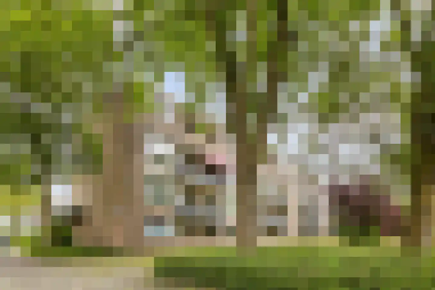 Sabotagelaan 134 Groningen thumbnail 6