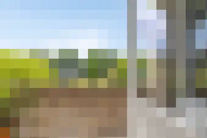 Sabotagelaan 136 Groningen thumbnail 15