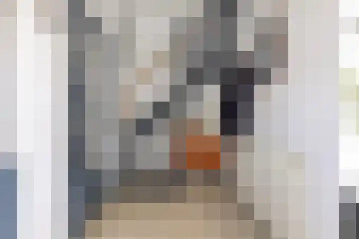 Sabotagelaan 136 Groningen thumbnail 19