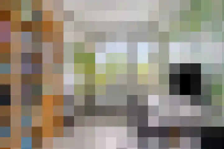 Sabotagelaan 136 Groningen thumbnail 21