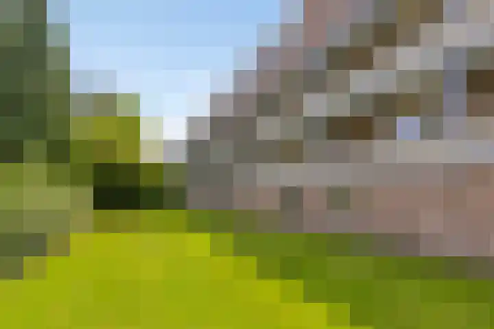 Sabotagelaan 136 Groningen thumbnail 30