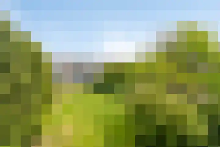 Sabotagelaan 136 Groningen thumbnail 31
