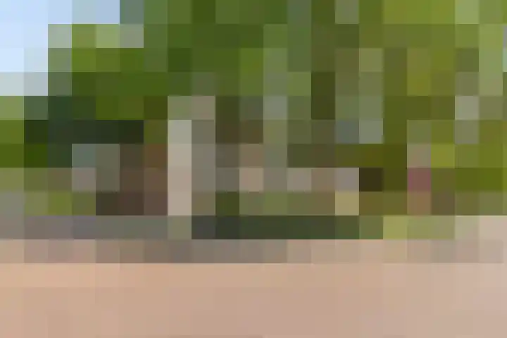 Sabotagelaan 136 Groningen thumbnail 4