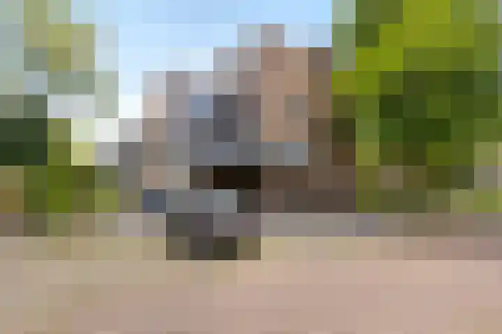 Sabotagelaan 136 Groningen thumbnail 5