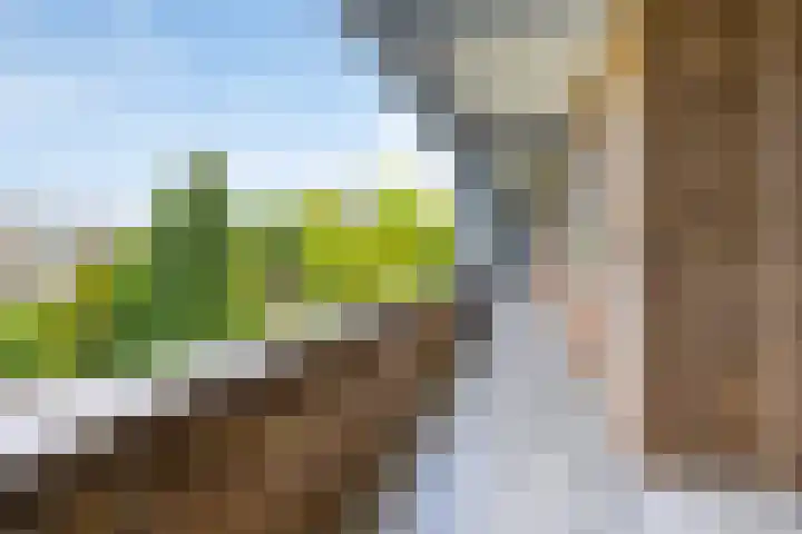 Sabotagelaan 136 Groningen thumbnail 9