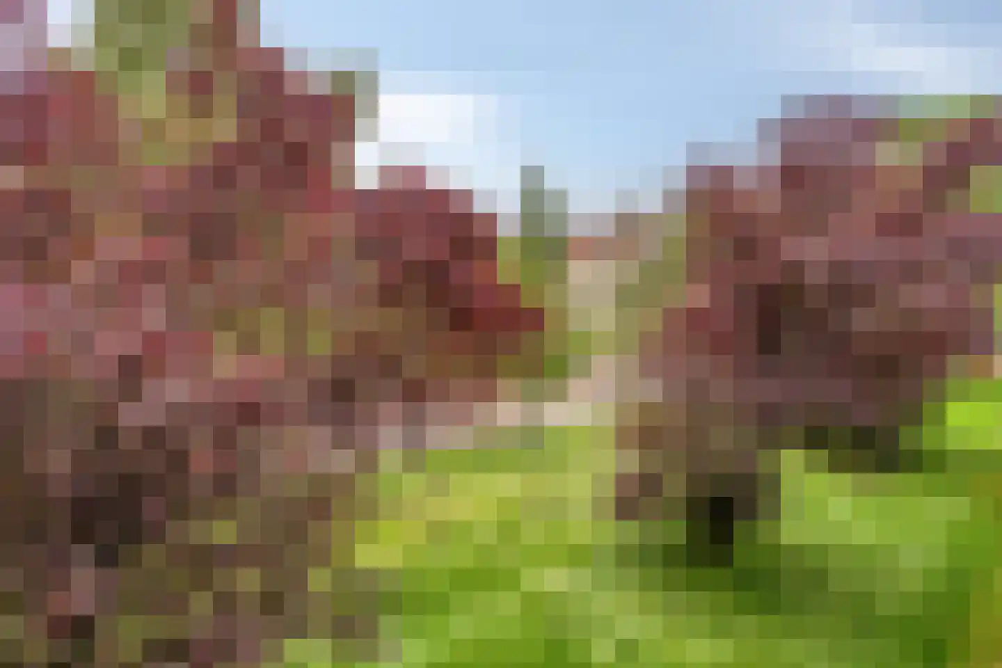 Sabotagelaan 138 Groningen thumbnail 25