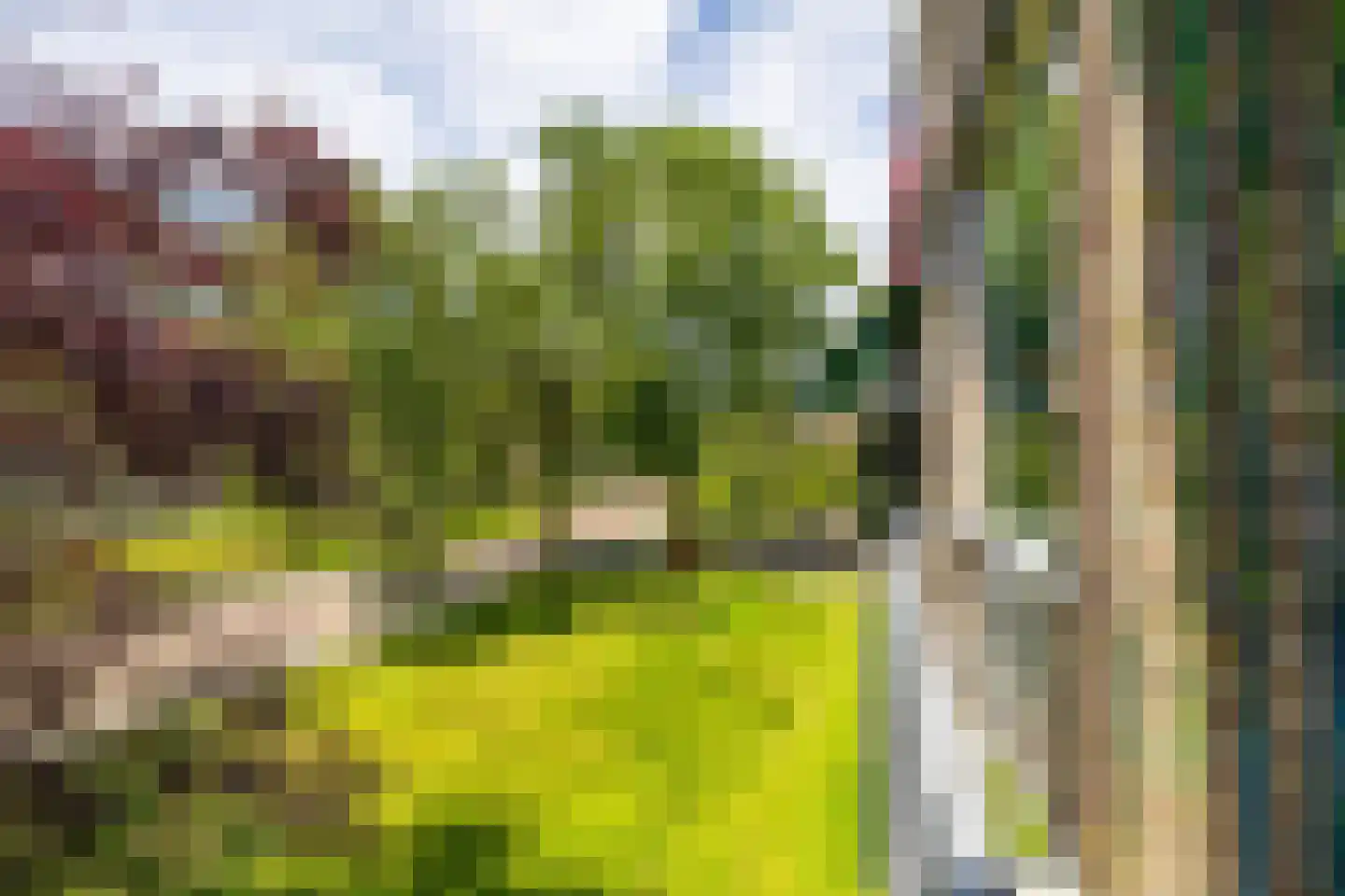 Sabotagelaan 148 Groningen thumbnail 19