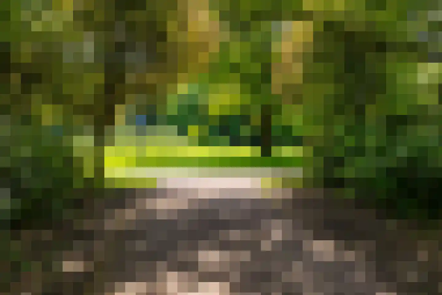 Sabotagelaan 148 Groningen thumbnail 40