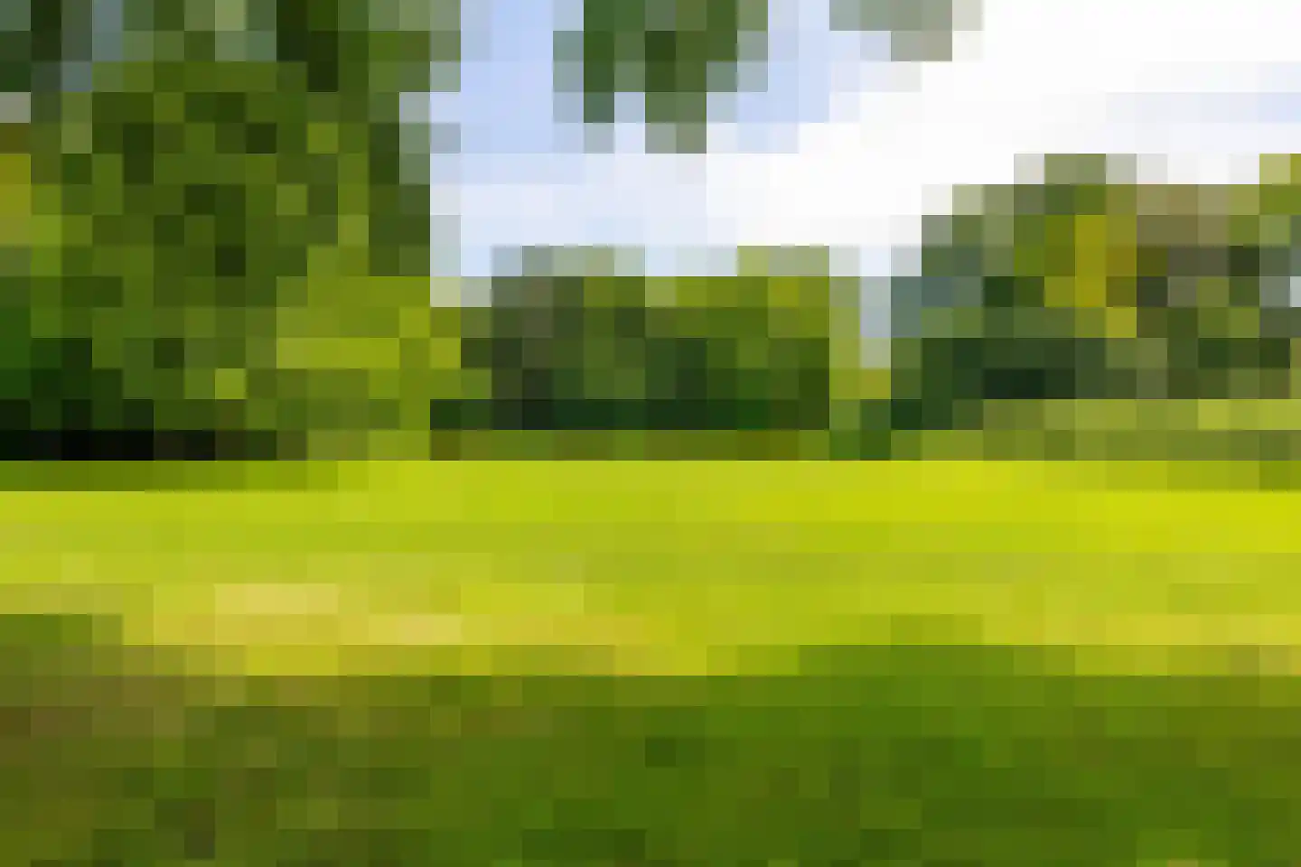 Sabotagelaan 148 Groningen thumbnail 41