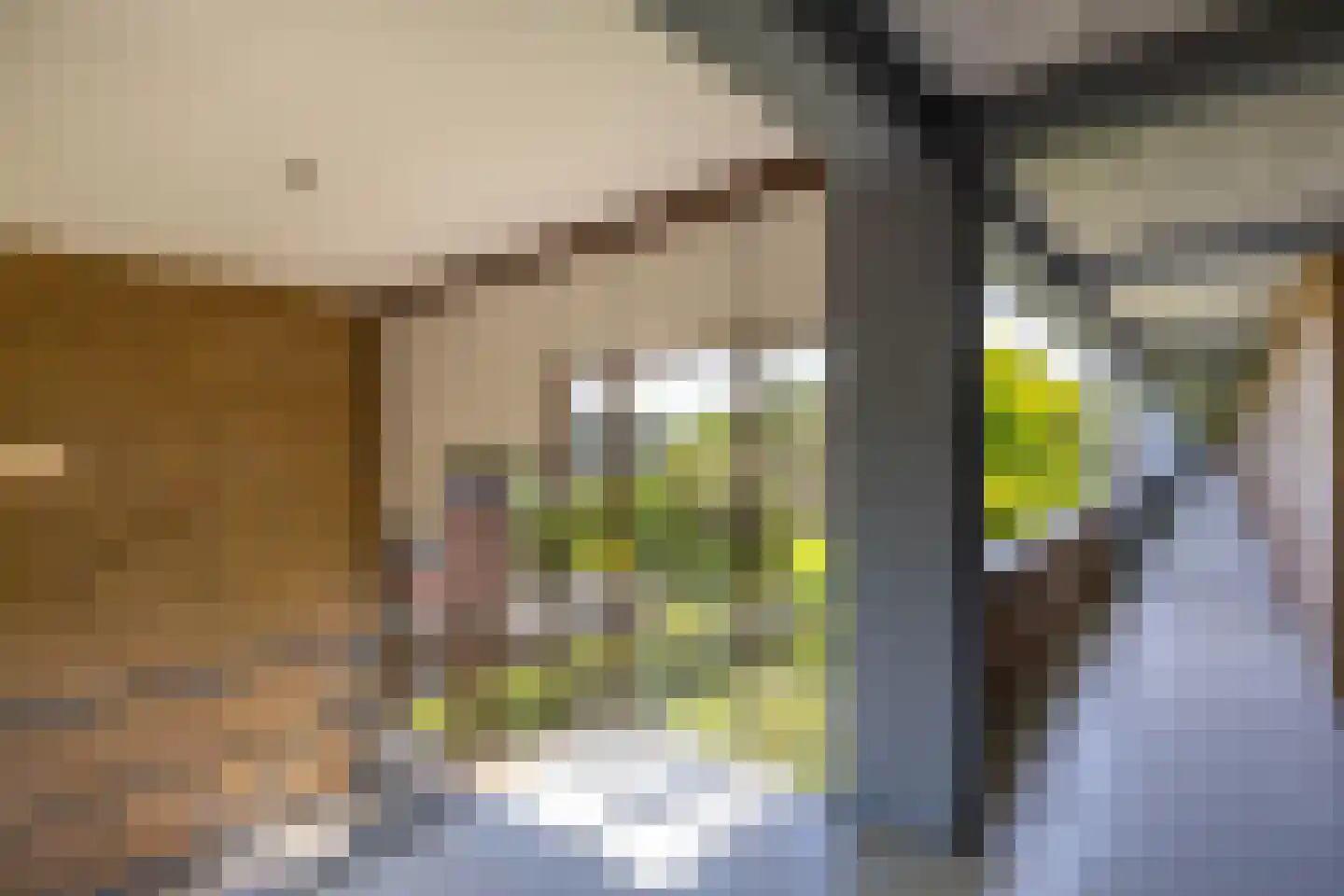 Sabotagelaan 148 Groningen thumbnail 7