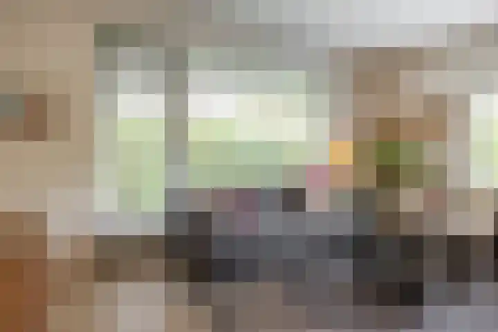 Sabotagelaan 2 Groningen thumbnail 13