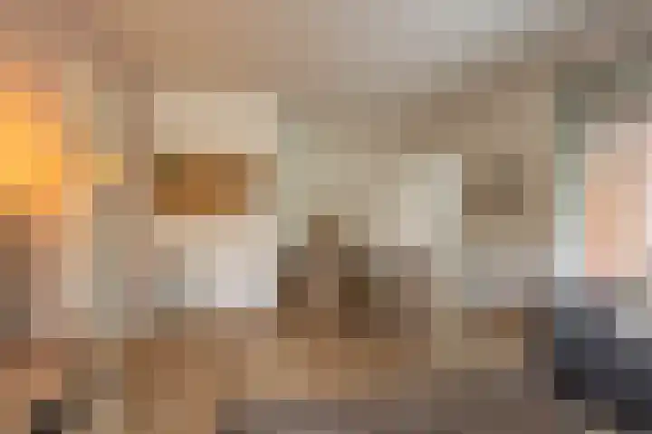 Sabotagelaan 2 Groningen thumbnail 16