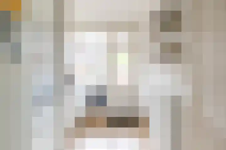 Sabotagelaan 2 Groningen thumbnail 19