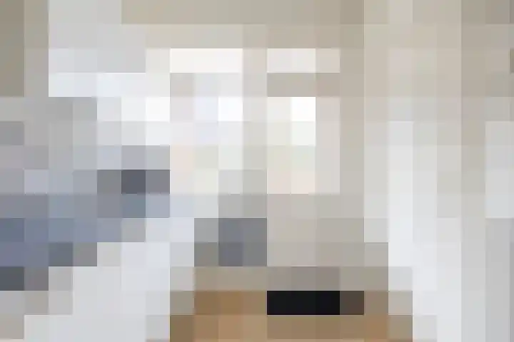 Sabotagelaan 2 Groningen thumbnail 20