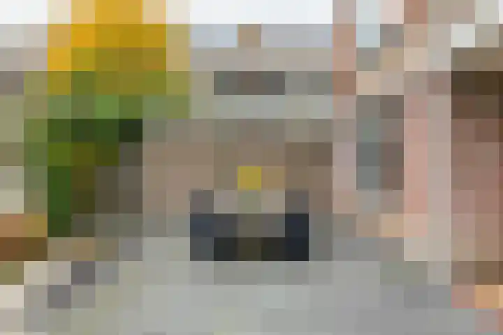 Sabotagelaan 2 Groningen thumbnail 35