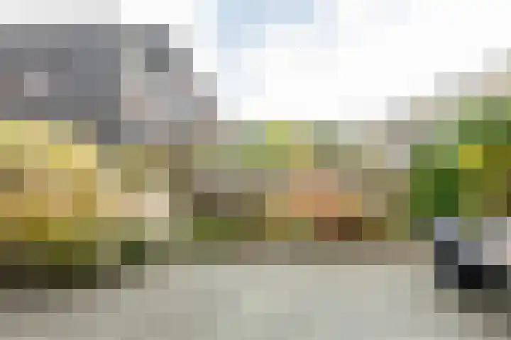 Sabotagelaan 2 Groningen thumbnail 38