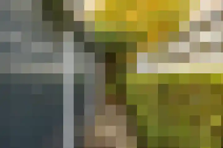 Sabotagelaan 2 Groningen thumbnail 39