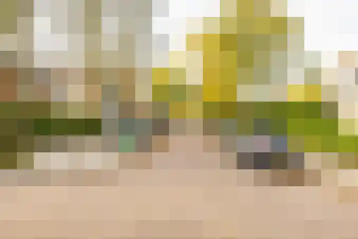 Sabotagelaan 2 Groningen thumbnail 4