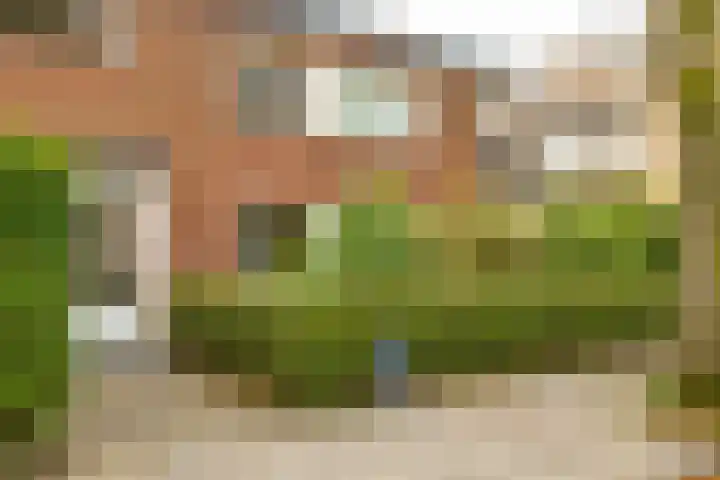 Sabotagelaan 2 Groningen thumbnail 7