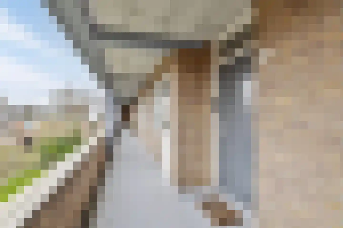 Sabotagelaan 38 Groningen thumbnail 10