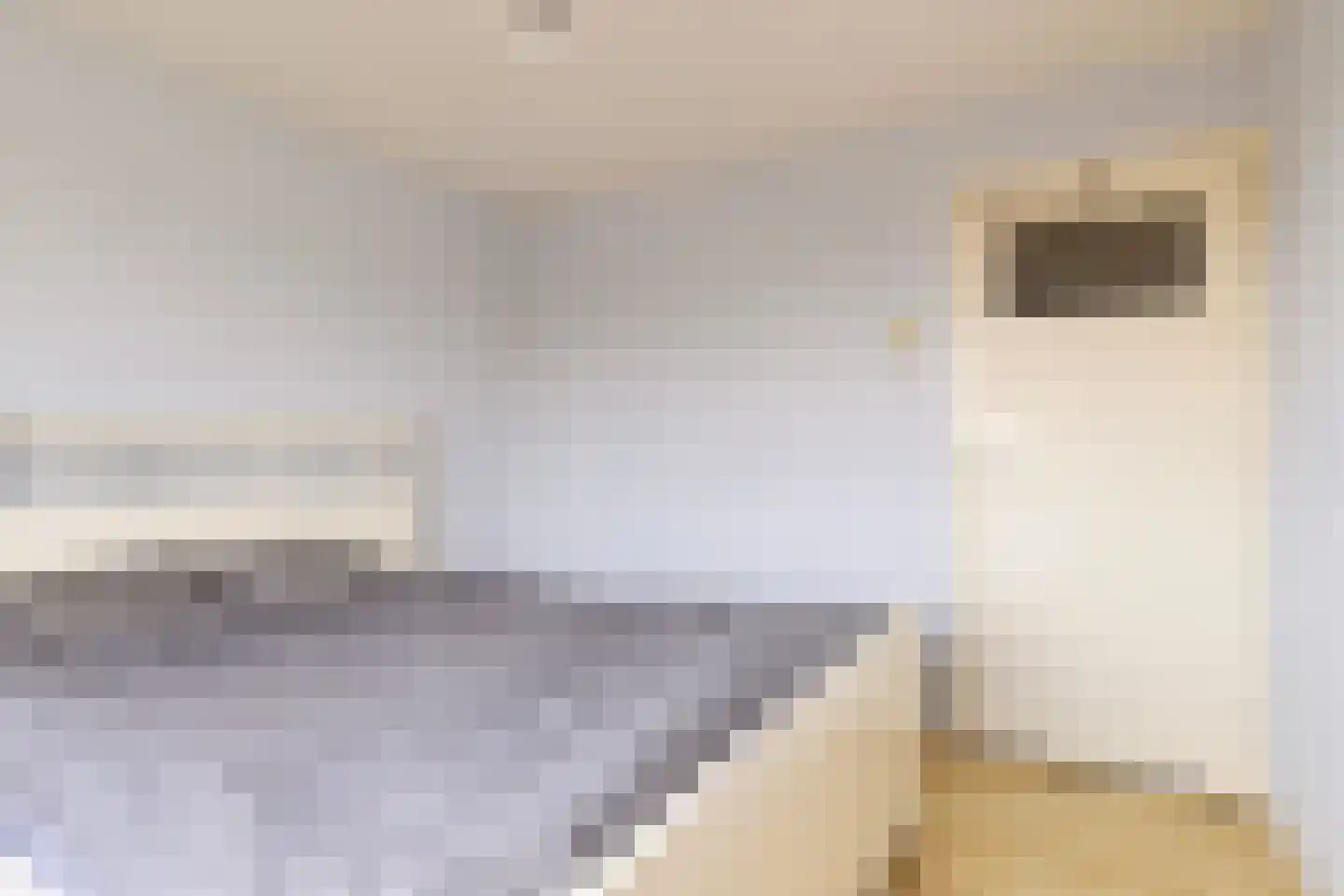 Sabotagelaan 38 Groningen thumbnail 22