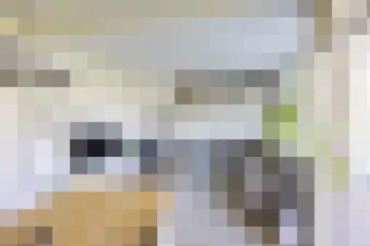 Sabotagelaan 72 Groningen thumbnail 12