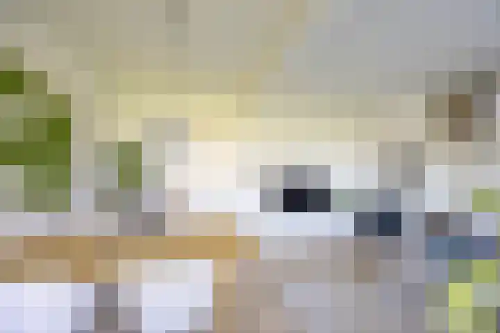 Sabotagelaan 72 Groningen thumbnail 13