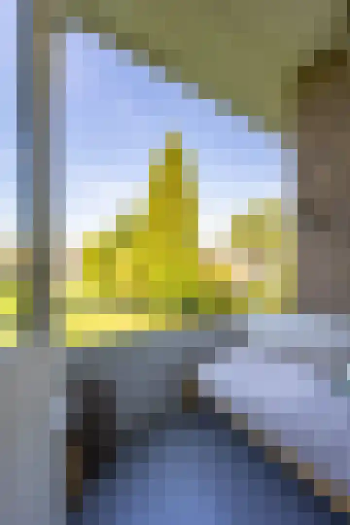 Sabotagelaan 72 Groningen thumbnail 15