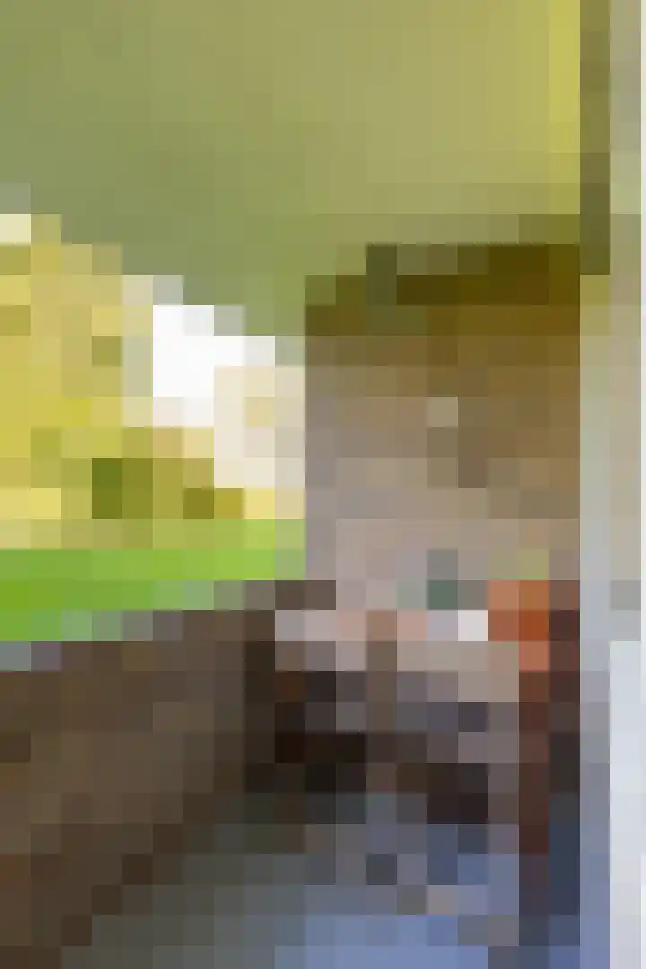 Sabotagelaan 72 Groningen thumbnail 22